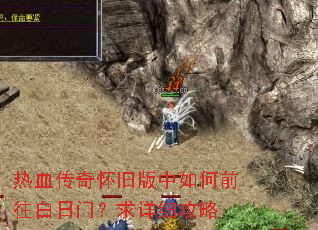 ��Ѫ���滳�ɰ������ǰ�������ţ�����ϸ����