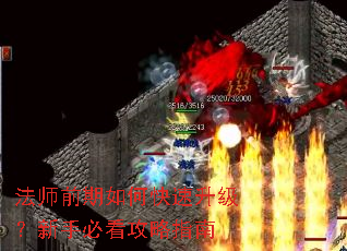 法师前期如何快速升级?新手必看攻略指南 法师前期如何快速升级?新手必看攻略指南