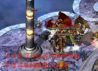 如何获取并培养热血传奇暗黑传说单机版最强宠物? 如何获取并培养热血传奇暗黑传说单机版最强宠物?