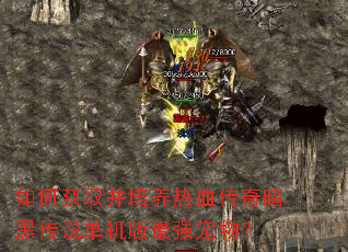 如何获取并培养热血传奇暗黑传说单机版最强宠物? 如何获取并培养热血传奇暗黑传说单机版最强宠物?