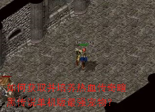 如何获取并培养热血传奇暗黑传说单机版最强宠物? 如何获取并培养热血传奇暗黑传说单机版最强宠物?