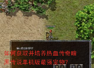 如何获取并培养热血传奇暗黑传说单机版最强宠物? 如何获取并培养热血传奇暗黑传说单机版最强宠物?