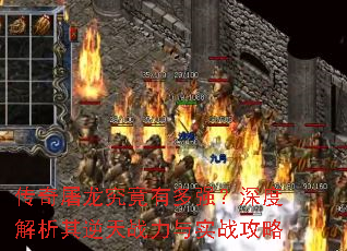 �������������ж�ǿ����Ƚ���������ս����ʵս����
