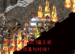 ����ҵ�������è���ľ���ˢ��λ����ʱ�䣿