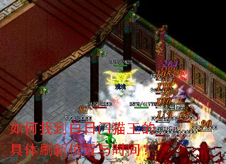 ����ҵ�������è���ľ���ˢ��λ����ʱ�䣿