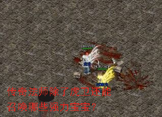 ���淨ʦ���˻��������ٻ���Щǿ��������