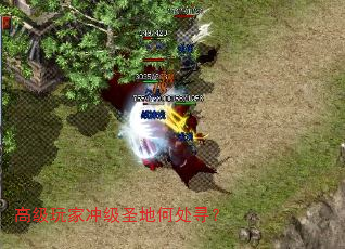߼ҳ弶ʥغδѰ