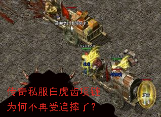 ˽׻Ϊβ׷ˣ