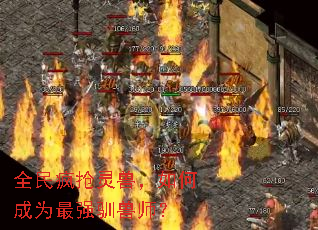 ȫޣγΪǿѱʦ