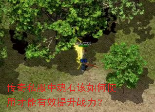 ˽лʯʹòЧս