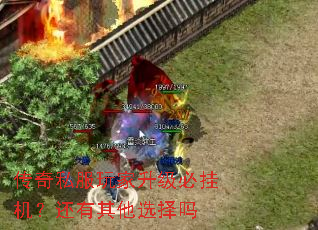 ˽عһѡ