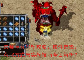 ʦ׹ԣѡ񡢻ȡʽʵսȫ