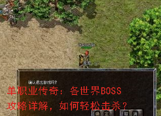 ְҵ棺BOSS⣬ɻɱ