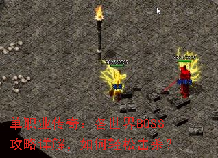 ְҵ棺BOSS⣬ɻɱ