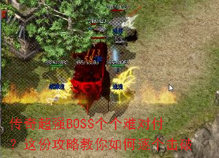 泬ǿBOSSѶԸݹԽ