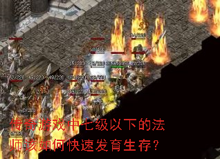 Ϸ߼µķʦοٷ棿