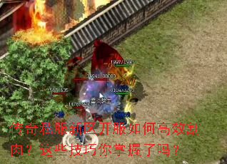 ˽θЧ⣿Щ