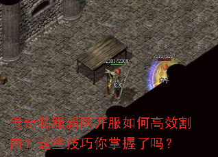 ˽θЧ⣿Щ