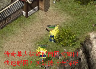 浥˱ȺΧʱοʵսȫ