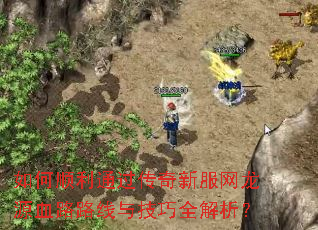 ˳ͨ·ԴѪ··뼼ȫ