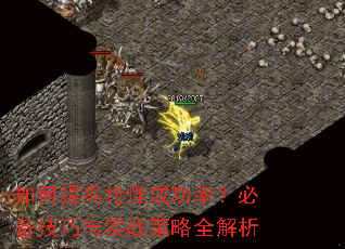 ֳɹʣرʵսȫ