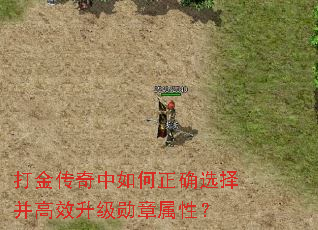 ȷѡ񲢸Чѫԣ