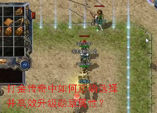 ȷѡ񲢸Чѫԣ