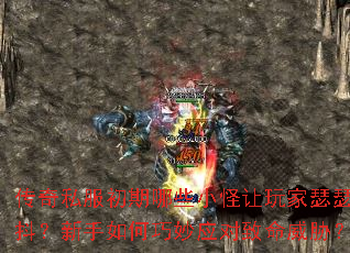 ˽ЩСɪɪӦв