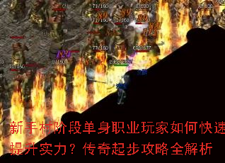 ִ׶εְҵοʵ𲽹ȫ