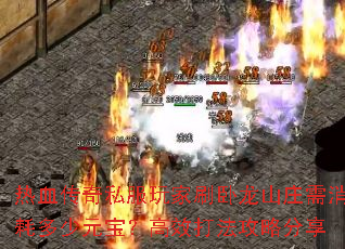 Ѫ˽ˢɽׯĶԪЧ򷨹Է