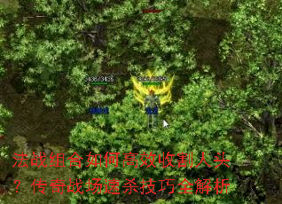 法战组合如何高效收割人头?传奇战场速杀技巧全解析 法战组合如何高效收割人头?传奇战场速杀技巧全解析