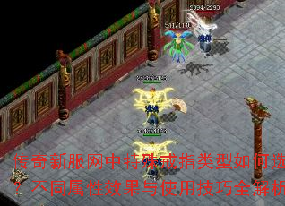 传奇新服网中特殊戒指类型如何选择?不同属性效果与使用技巧全解析 传奇新服网中特殊戒指类型如何选择?不同属性效果与使用技巧全解析