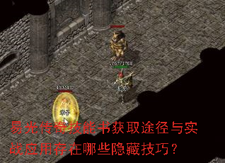 易光传奇技能书获取途径与实战应用存在哪些隐藏技巧? 易光传奇技能书获取途径与实战应用存在哪些隐藏技巧?