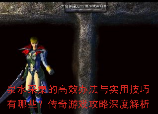 泉水采集的高效办法与实用技巧有哪些?传奇游戏攻略深度解析 泉水采集的高效办法与实用技巧有哪些?传奇游戏攻略深度解析