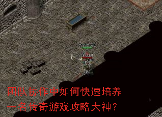 团队协作中如何快速培养一名传奇游戏攻略大神? 团队协作中如何快速培养一名传奇游戏攻略大神?