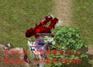 传奇私服特戒隐藏哪些与众不同的属性?玩家必看攻略解析 传奇私服特戒隐藏哪些与众不同的属性?玩家必看攻略解析