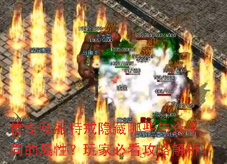 传奇私服特戒隐藏哪些与众不同的属性?玩家必看攻略解析 传奇私服特戒隐藏哪些与众不同的属性?玩家必看攻略解析