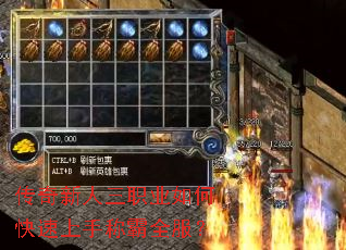 传奇新人三职业如何快速上手称霸全服? 传奇新人三职业如何快速上手称霸全服?