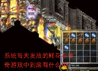 系统每天发放的鲜花在传奇游戏中到底有什么用? 系统每天发放的鲜花在传奇游戏中到底有什么用?