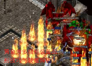 黄金传多级别装备识别技巧与疑难解析 黄金传多级别装备识别技巧与疑难解析