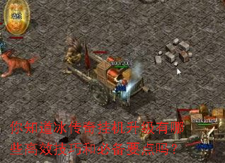 你知道冰传奇挂机升级有哪些高效技巧和必备要点吗? 你知道冰传奇挂机升级有哪些高效技巧和必备要点吗?