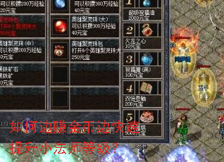 如何边赚金币边快速提升小法师等级? 如何边赚金币边快速提升小法师等级?