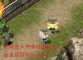 如何进入传奇桃园秘技副本获取高级技能? 如何进入传奇桃园秘技副本获取高级技能?