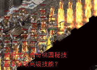 如何进入传奇桃园秘技副本获取高级技能? 如何进入传奇桃园秘技副本获取高级技能?