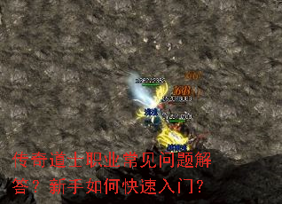 �����ʿְҵ����������������ο������ţ�