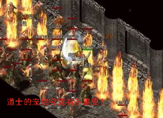 道士的宠物究竟有多重要? 道士的宠物究竟有多重要?