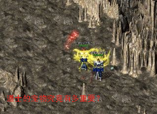 道士的宠物究竟有多重要? 道士的宠物究竟有多重要?