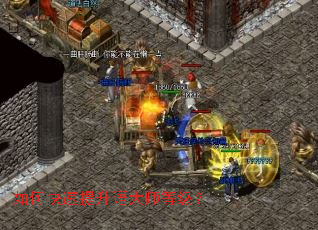 ��ο����������ʦ�ȼ���