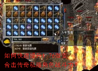 如何快速提升1.76微变合击传奇私服角色战斗力? 如何快速提升1.76微变合击传奇私服角色战斗力?