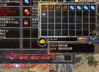 如何快速适应传奇游戏的新手阶段? 如何快速适应传奇游戏的新手阶段?